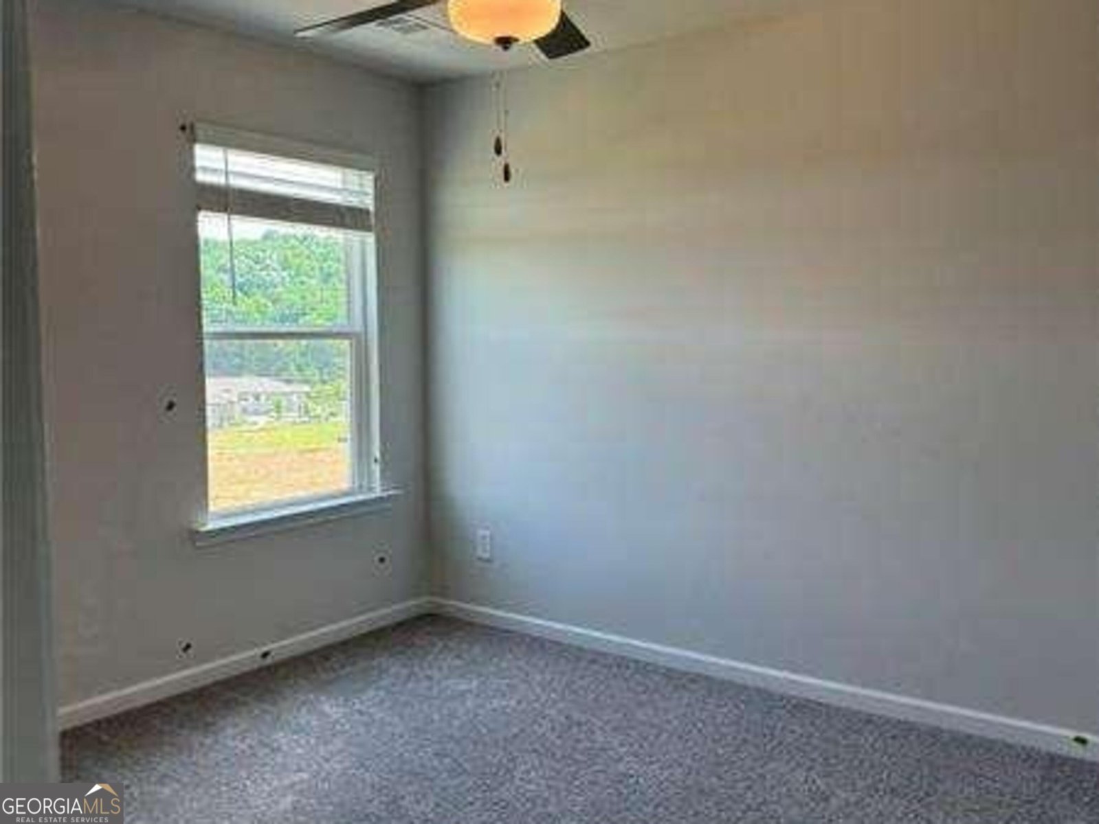118 Briarwood Drive Dawsonville - Photo 13