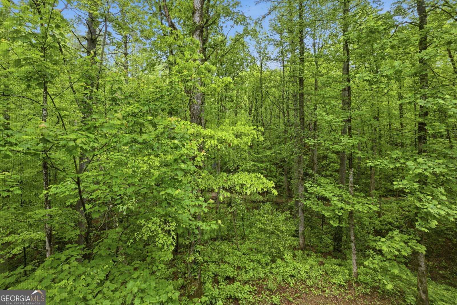 634 Little Hawk Road Sautee Nacoochee - Photo 24