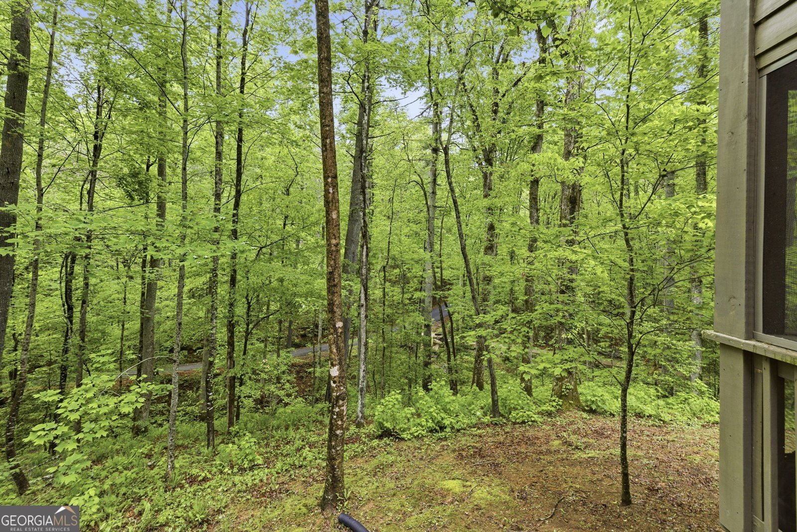 634 Little Hawk Road Sautee Nacoochee - Photo 44