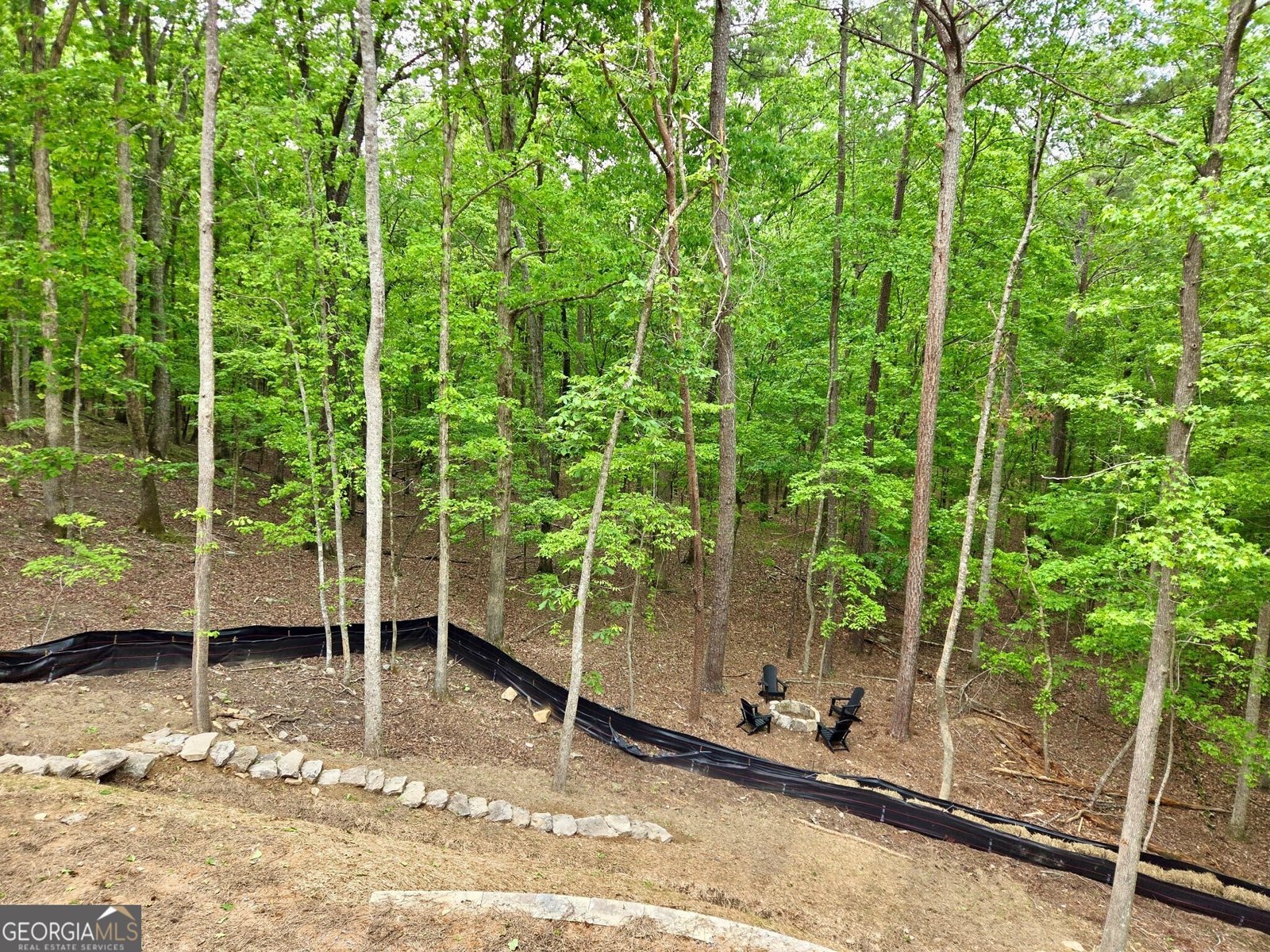 137 Bear Drive Waleska - Photo 7