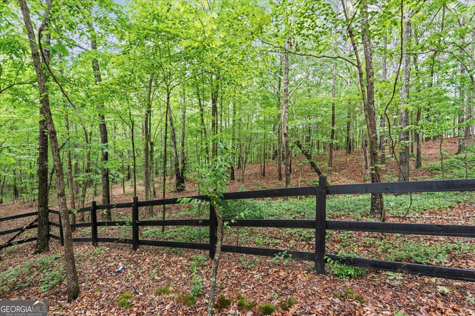253 Mulberry Lane Lindale - Photo 43