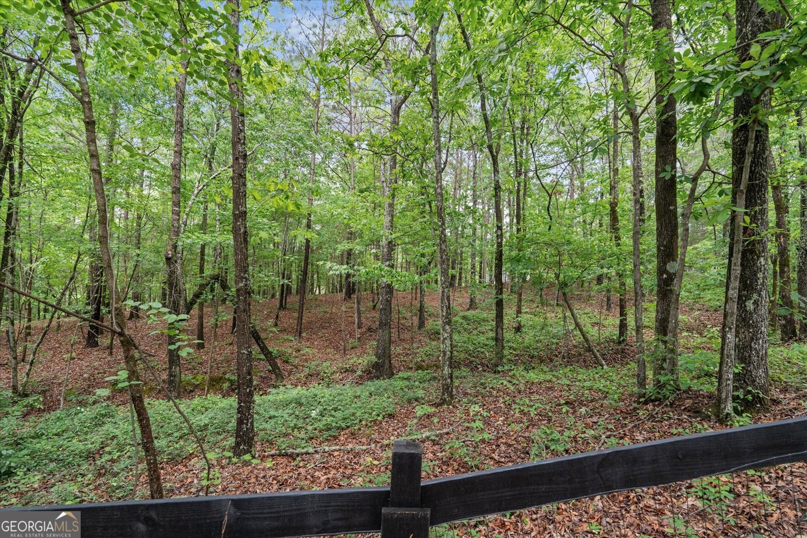 253 Mulberry Lane Lindale - Photo 44