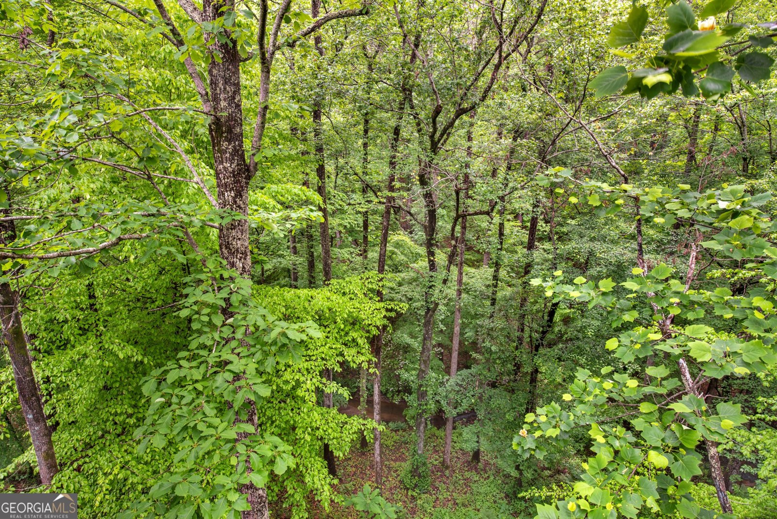 3859 Cochran Lake Drive Marietta - Photo 20