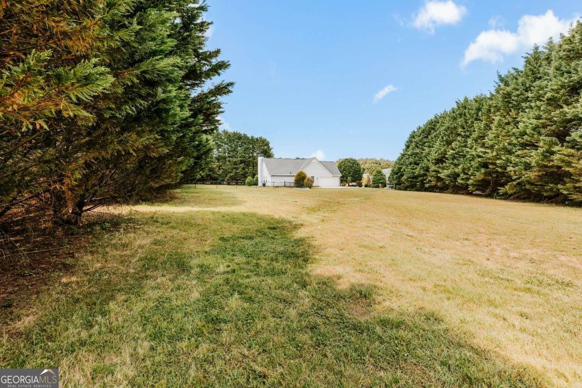 1050 Rebekah Drive Bogart - Photo 42