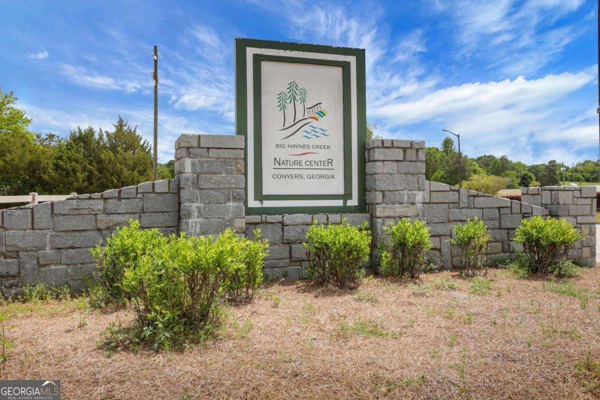 802 Cambridge Creek Drive Conyers - Photo 57