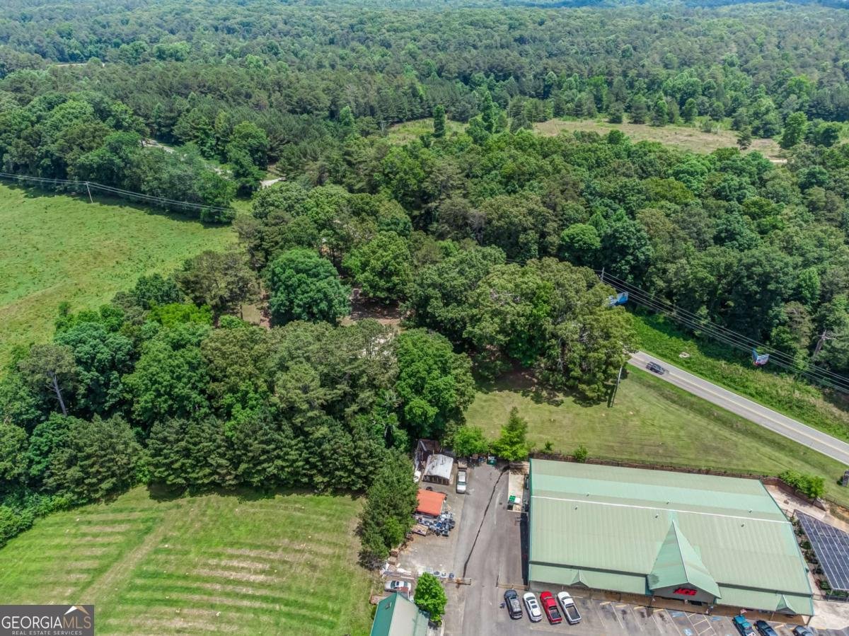 261 Steve Tate Highway Marble Hill - Photo 14