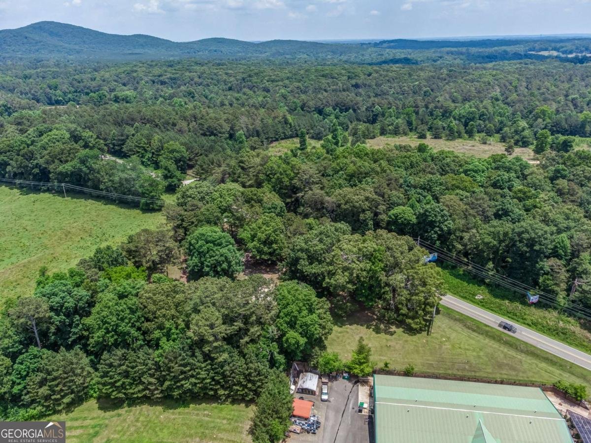 261 Steve Tate Highway Marble Hill - Photo 15
