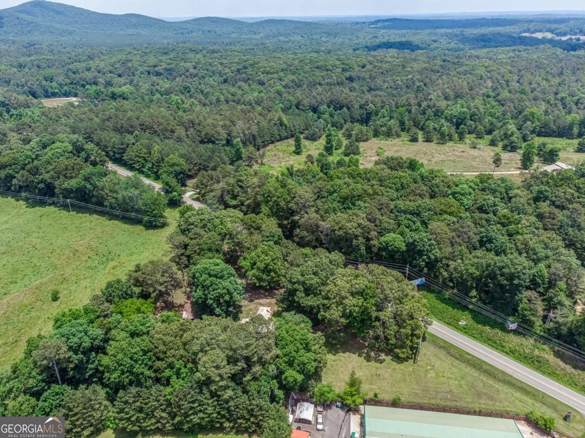 261 Steve Tate Highway Marble Hill - Photo 16