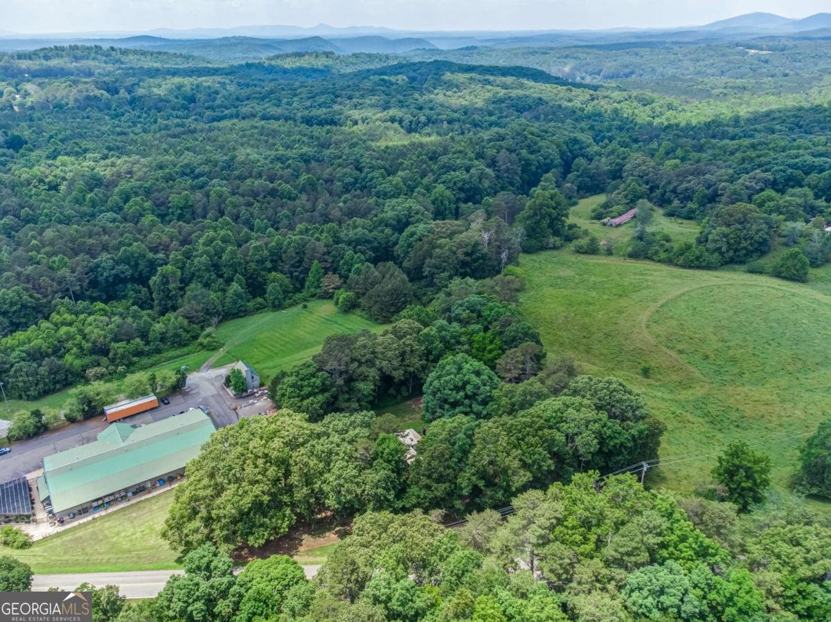 261 Steve Tate Highway Marble Hill - Photo 31