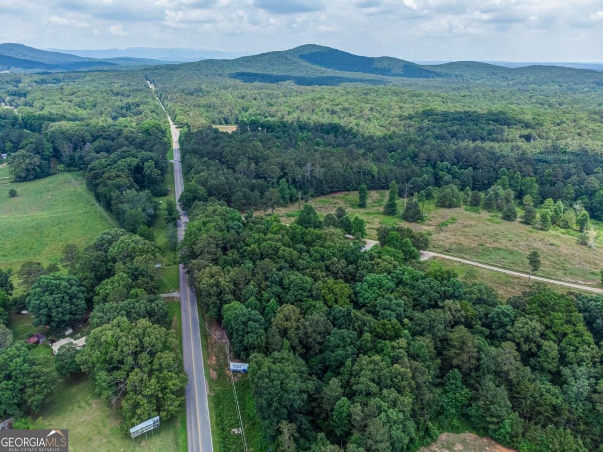 261 Steve Tate Highway Marble Hill - Photo 40