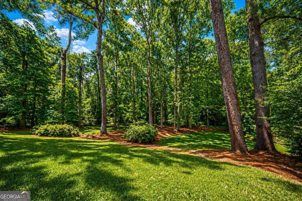 360 Barkshire Lane Roswell - Photo 30