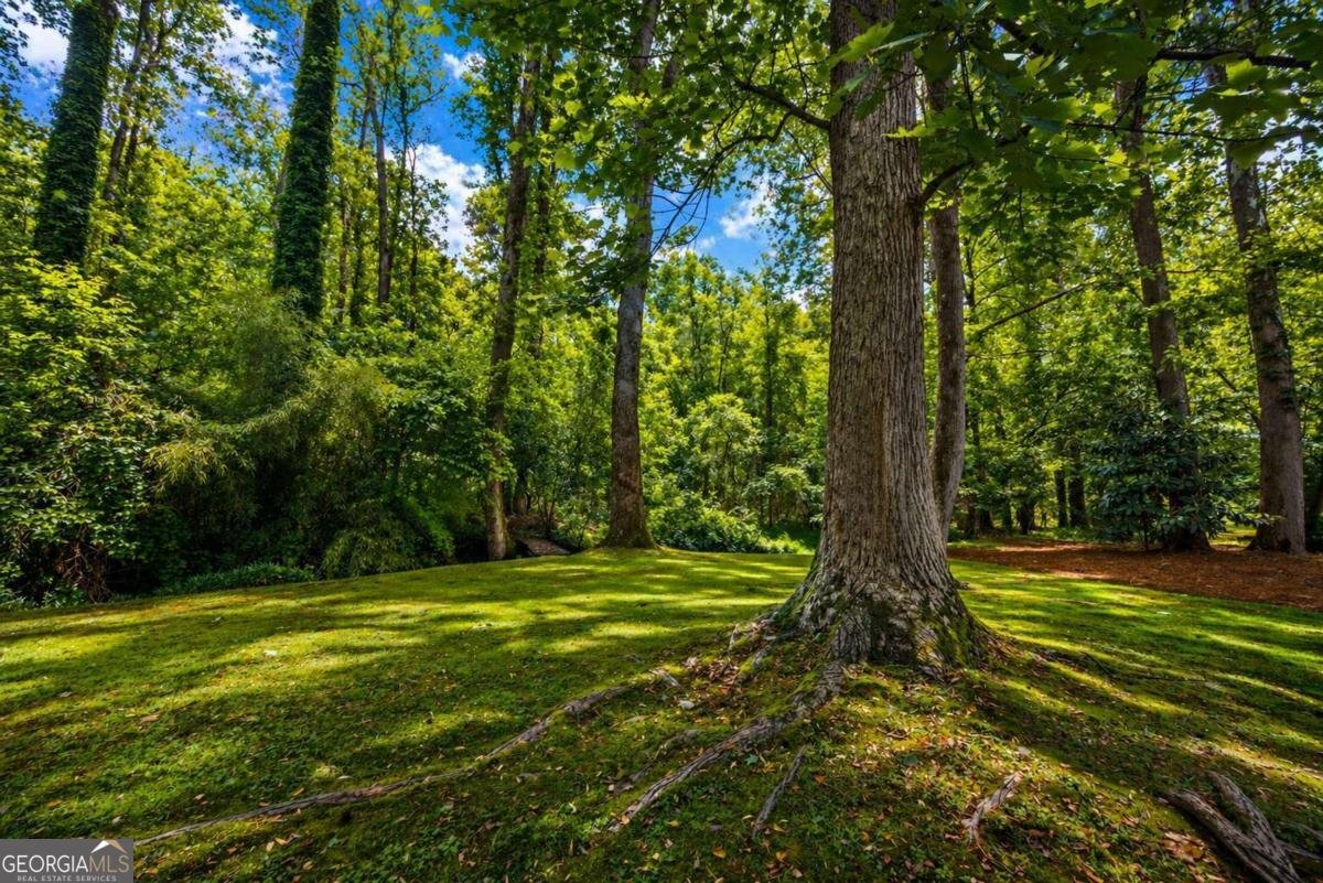 360 Barkshire Lane Roswell - Photo 32