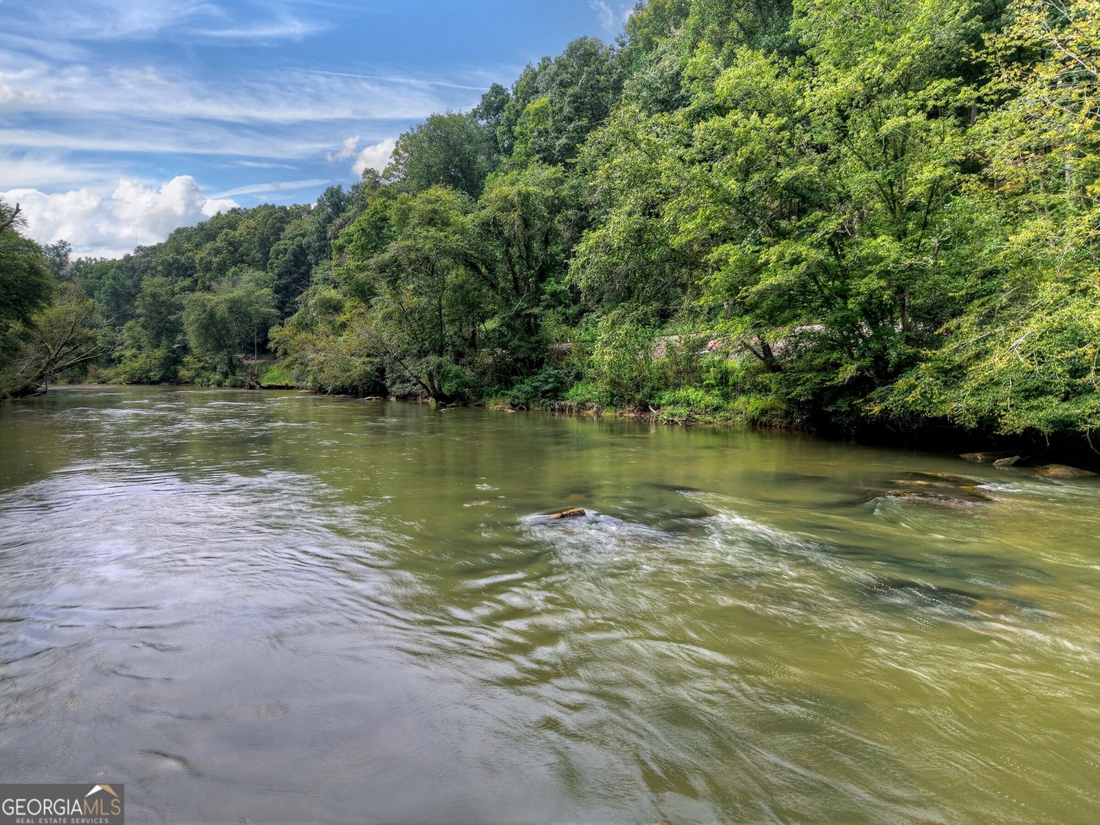 271 Toccoa Preserve Court Blue Ridge - Photo 47