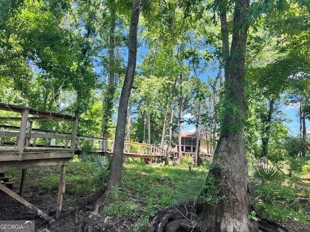147 Brannen Landing Road Midville - Photo 6