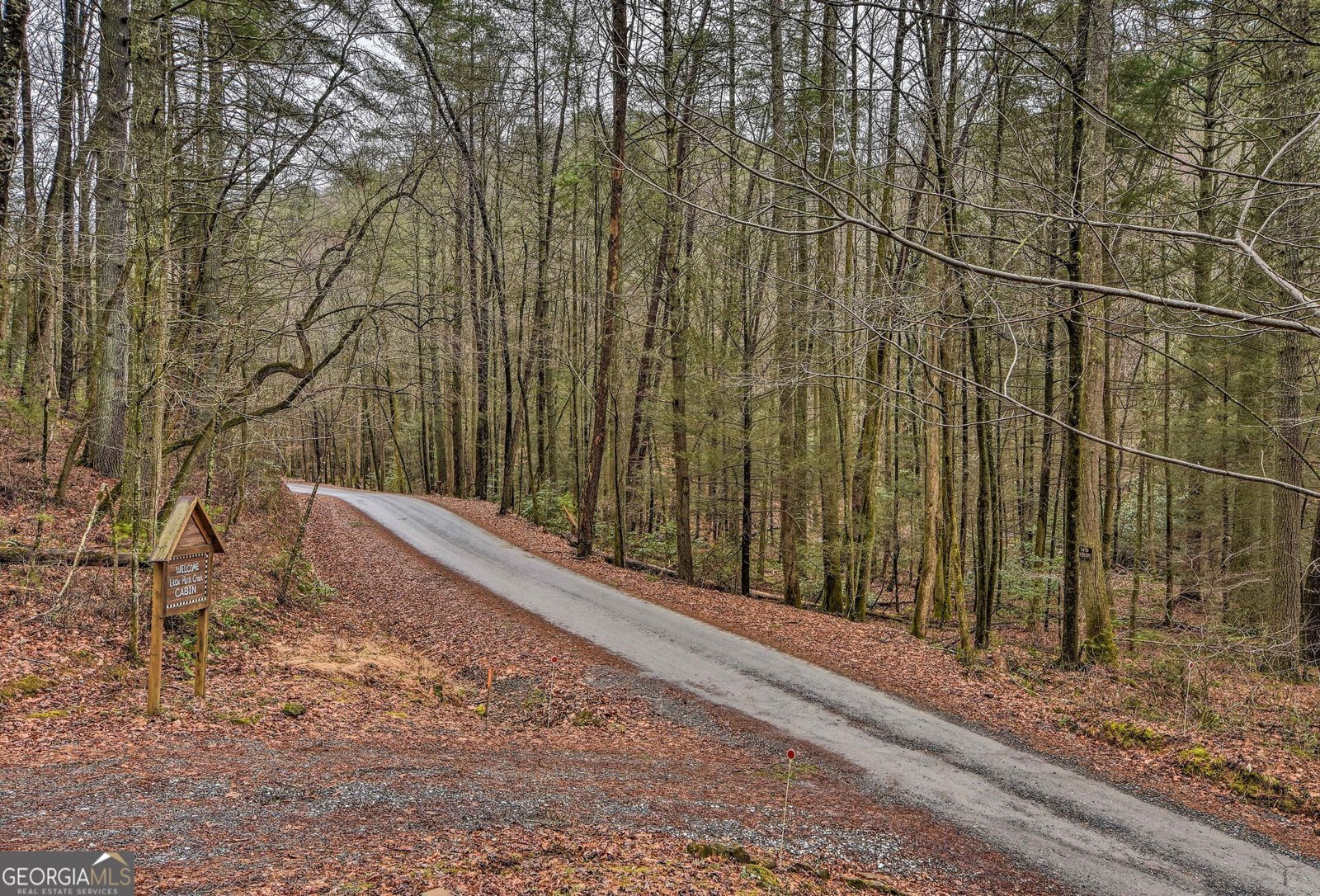 807 Little Rock Creek Road Cherry Log - Photo 18