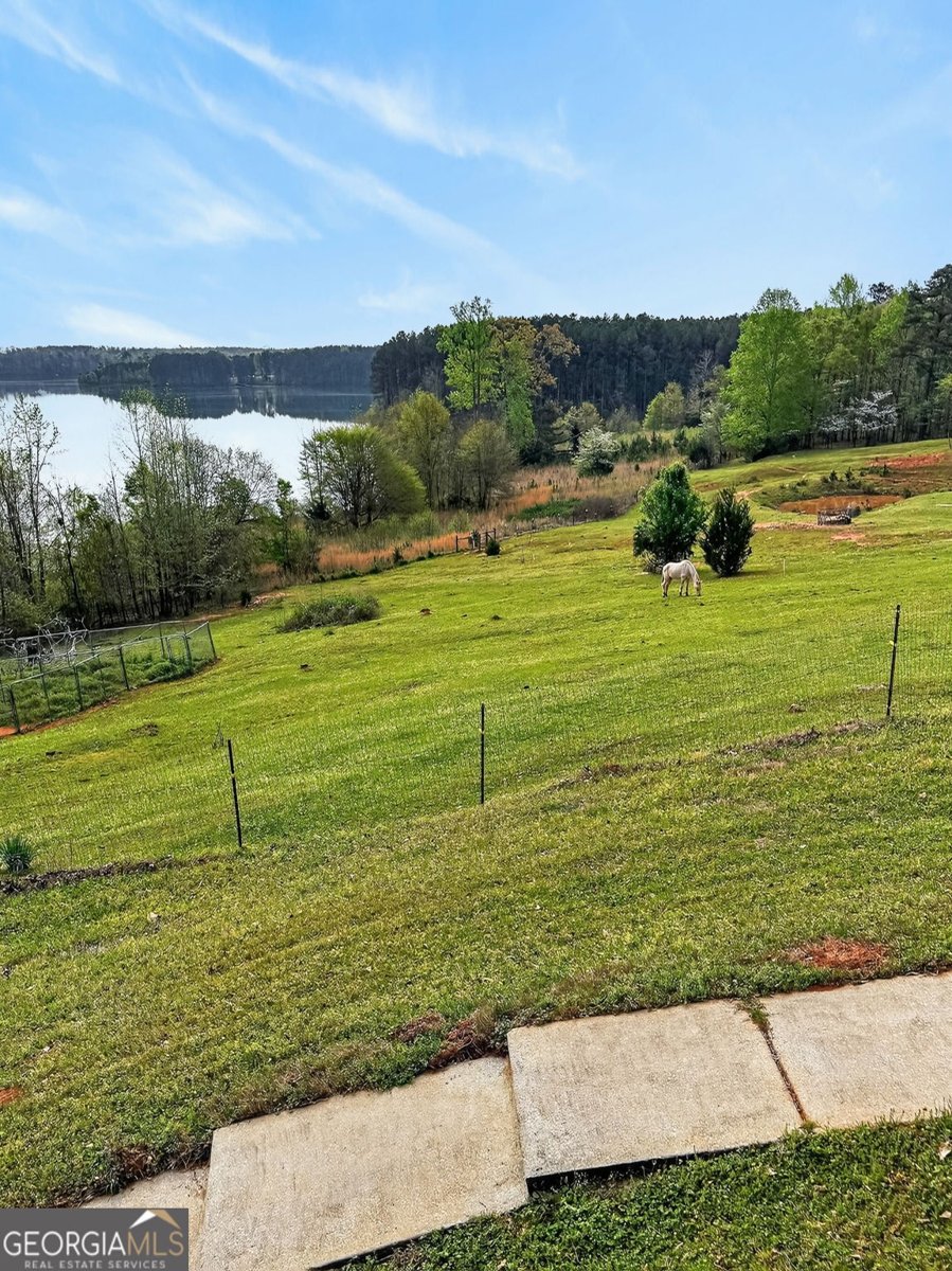 955 Mocassin Gap Road Locust Grove - Photo 49