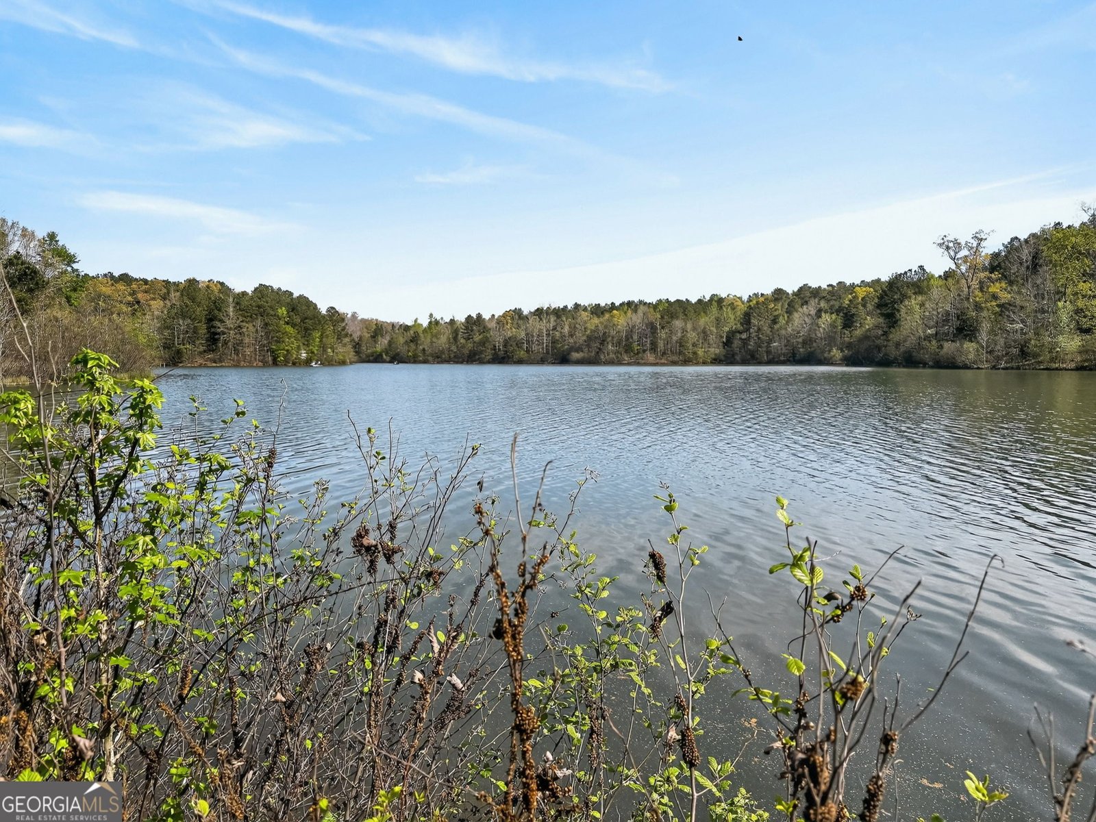 955 Mocassin Gap Road Locust Grove - Photo 54
