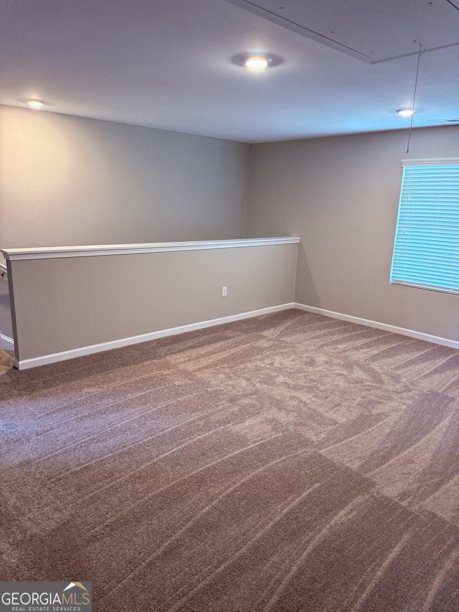 254 Hamilton Pointe Drive McDonough - Photo 14