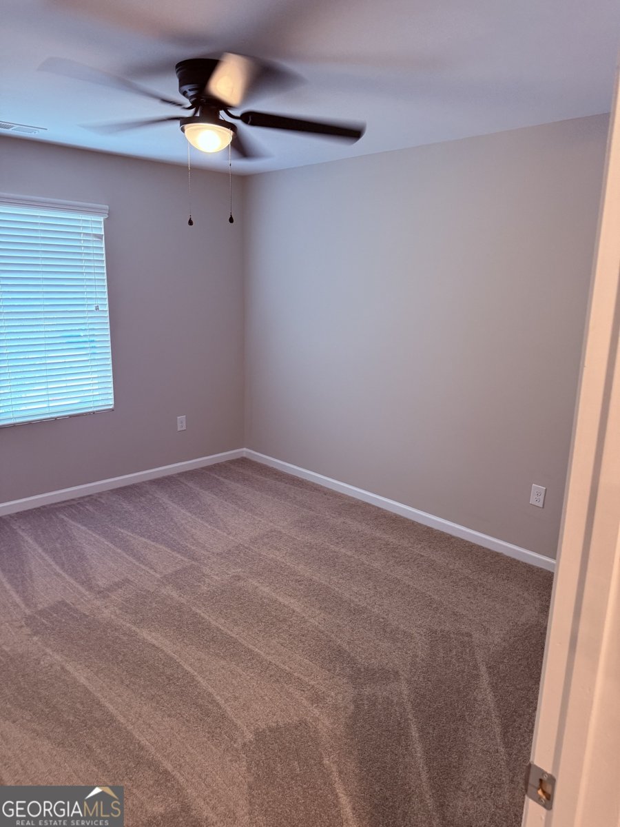 254 Hamilton Pointe Drive McDonough - Photo 8