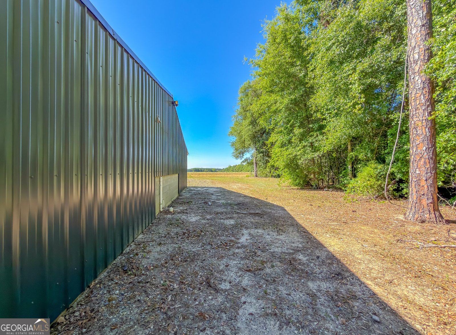 525 Bold Springs Road Cairo - Photo 49