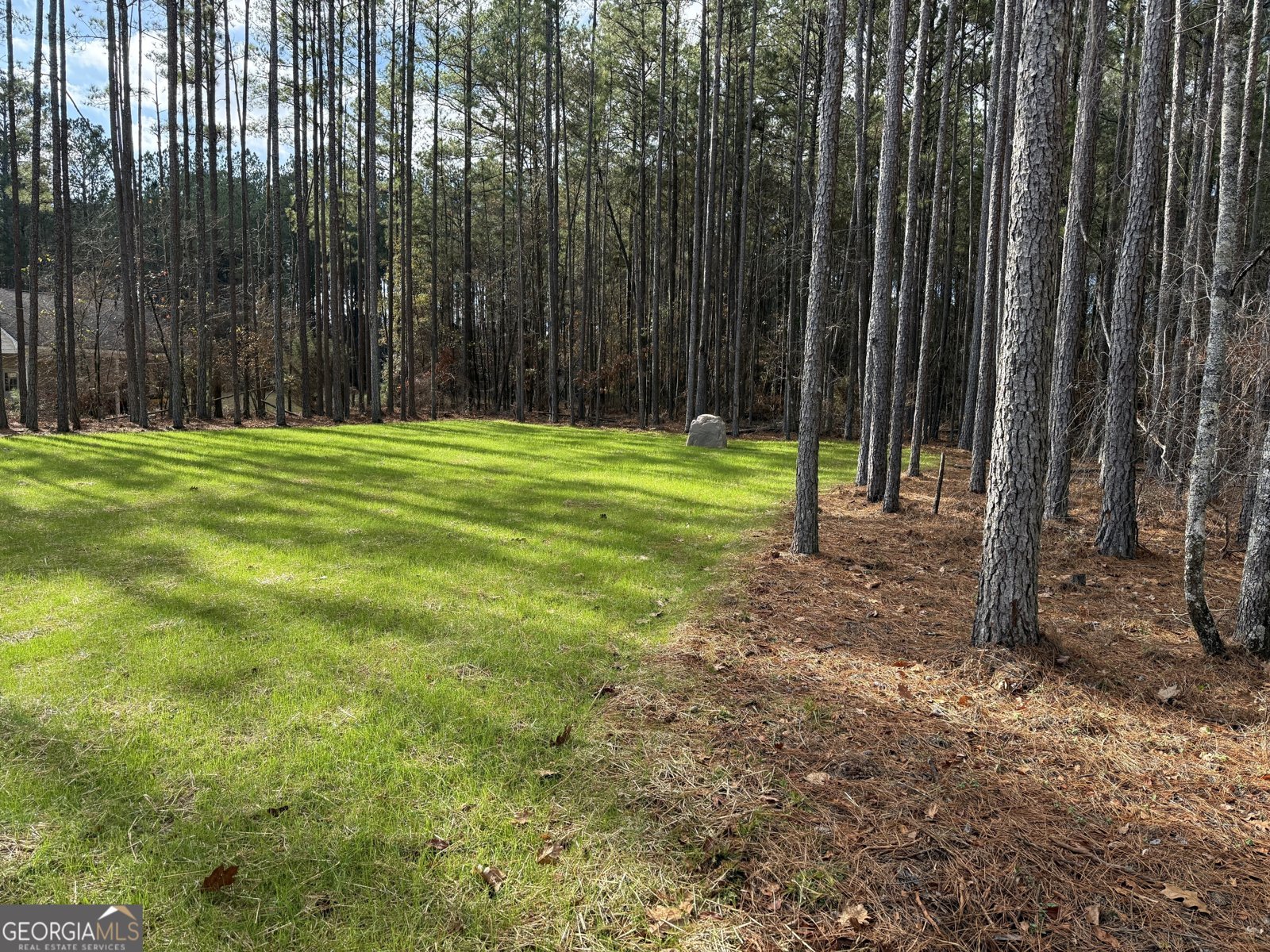35 Mattie Court Mansfield - Photo 58
