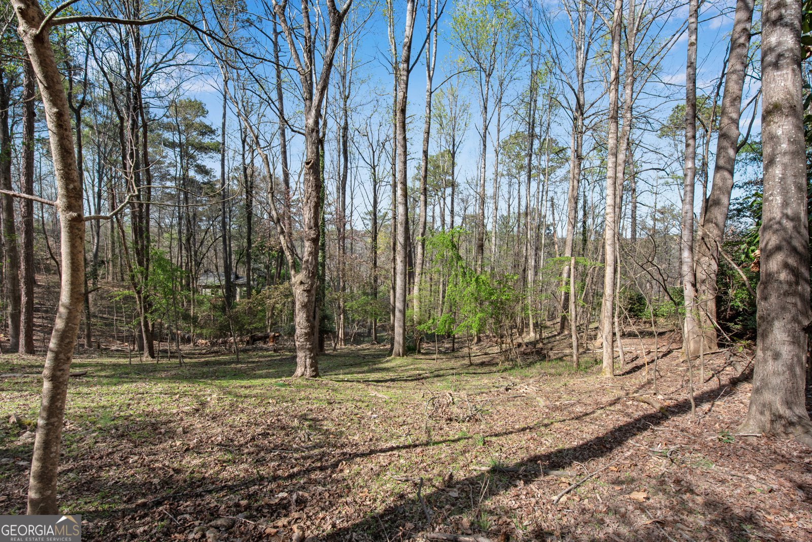 126 East Lake Drive Roswell - Photo 8