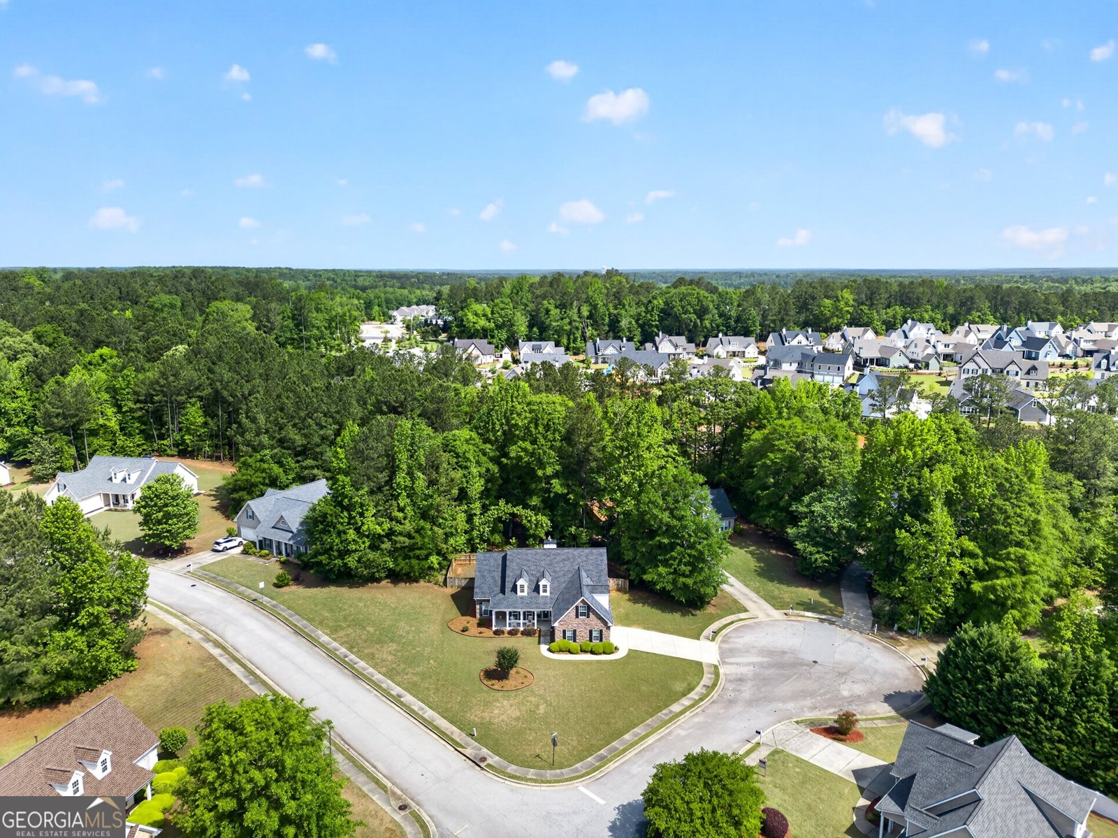 101 Peyton Court Senoia - Photo 41