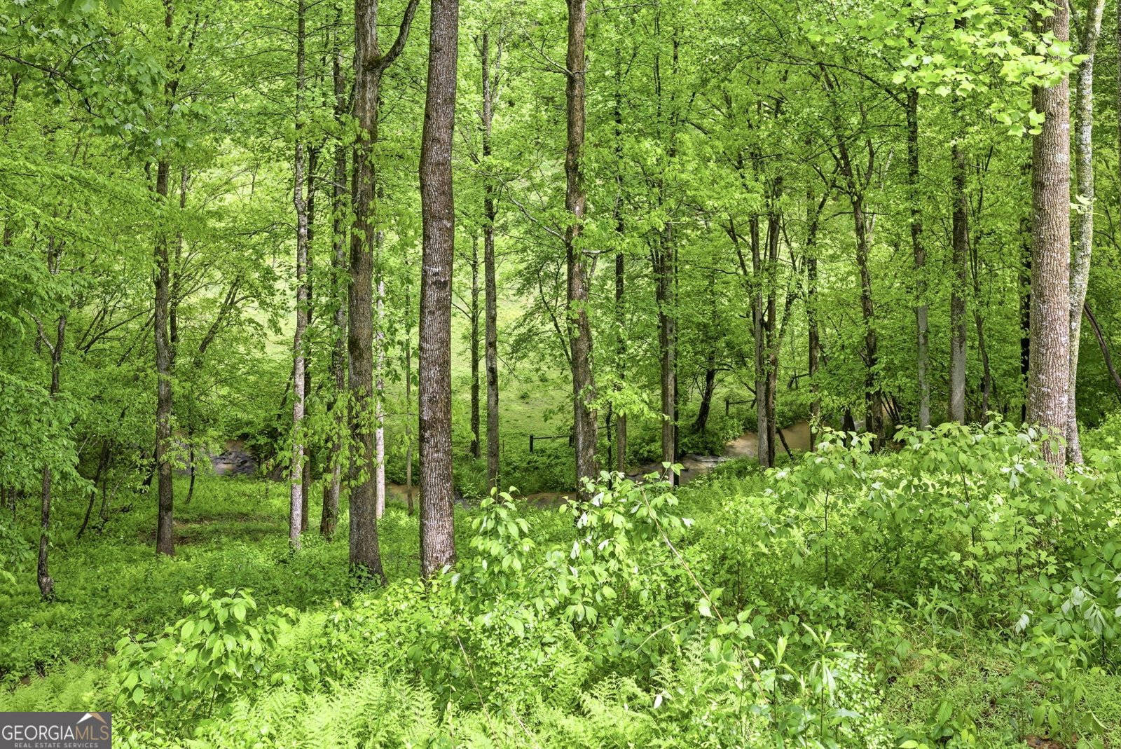 137 Thornwood Lane Ellijay - Photo 33