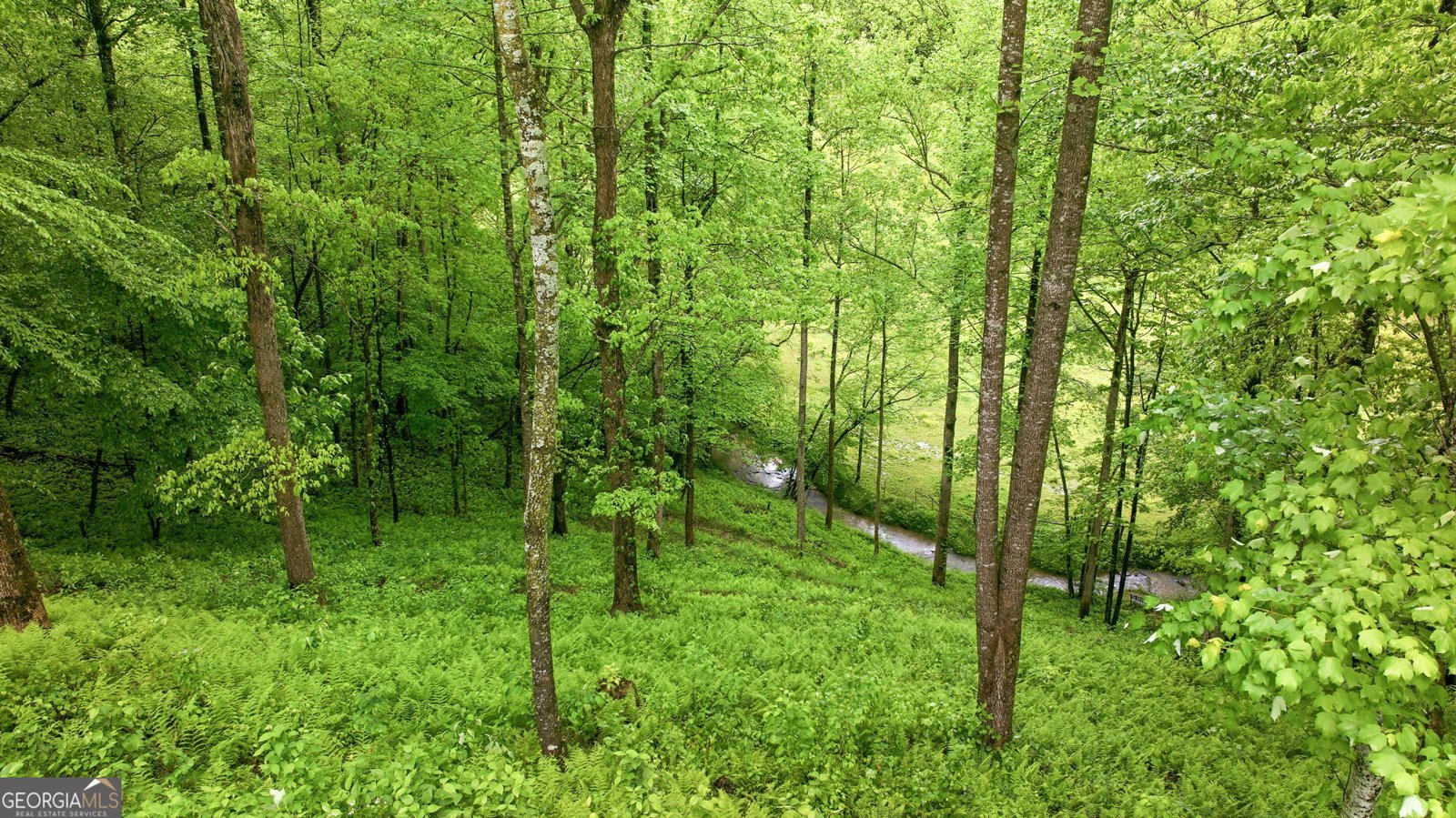 137 Thornwood Lane Ellijay - Photo 40