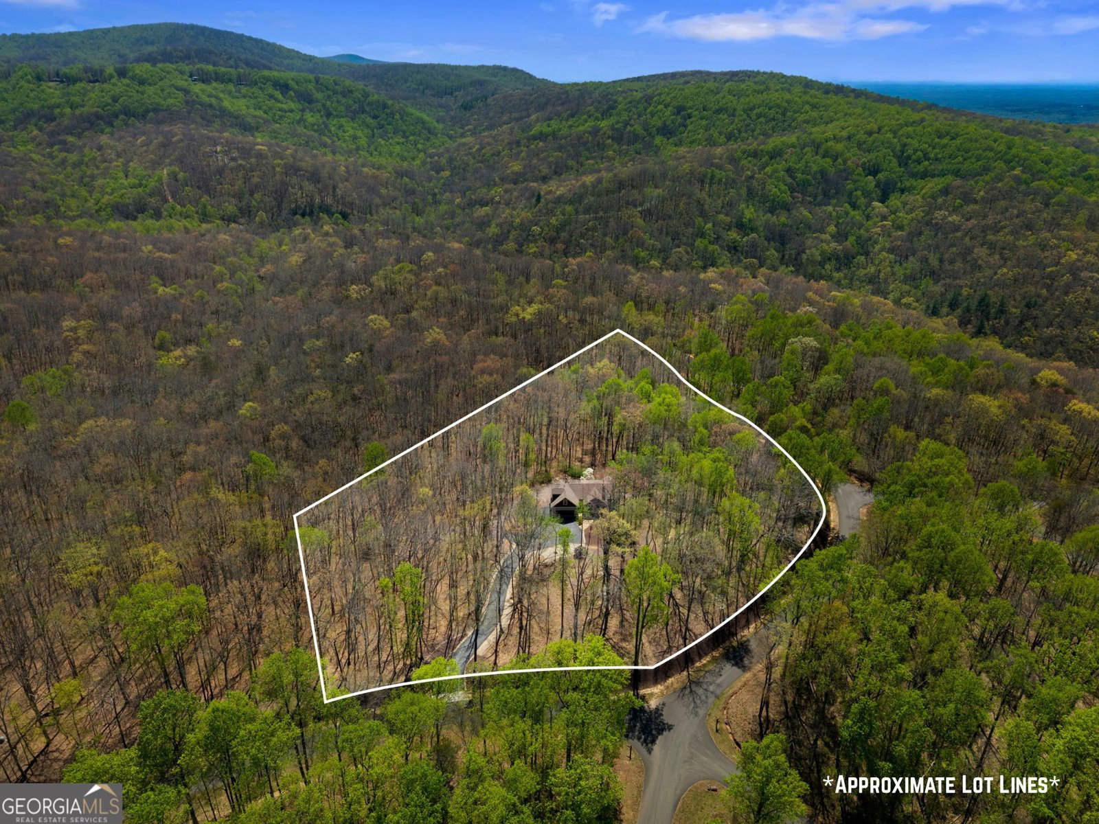 20 Northstar Ellijay - Photo 49