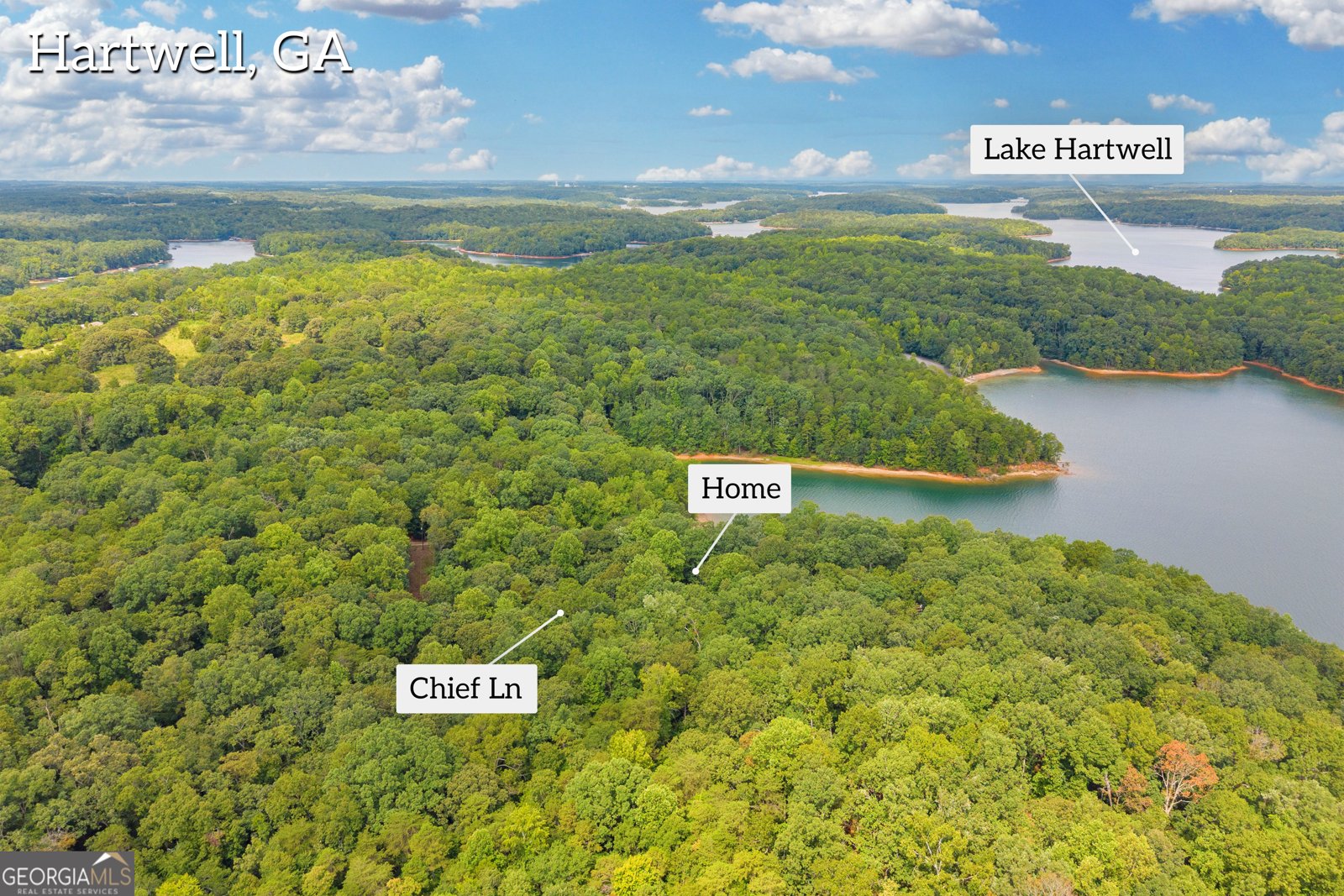 26 Chief Lane Hartwell - Photo 40