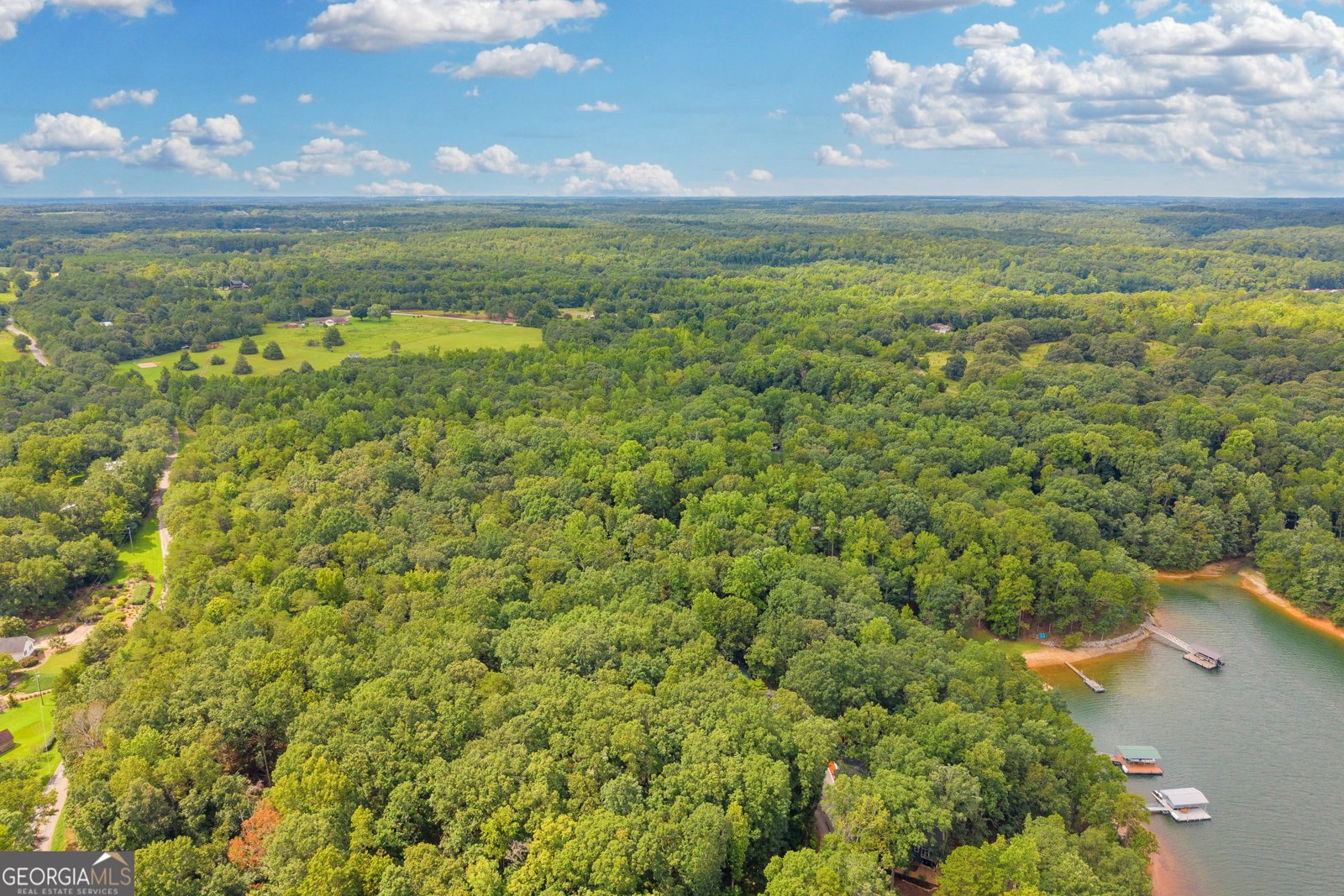 26 Chief Lane Hartwell - Photo 42