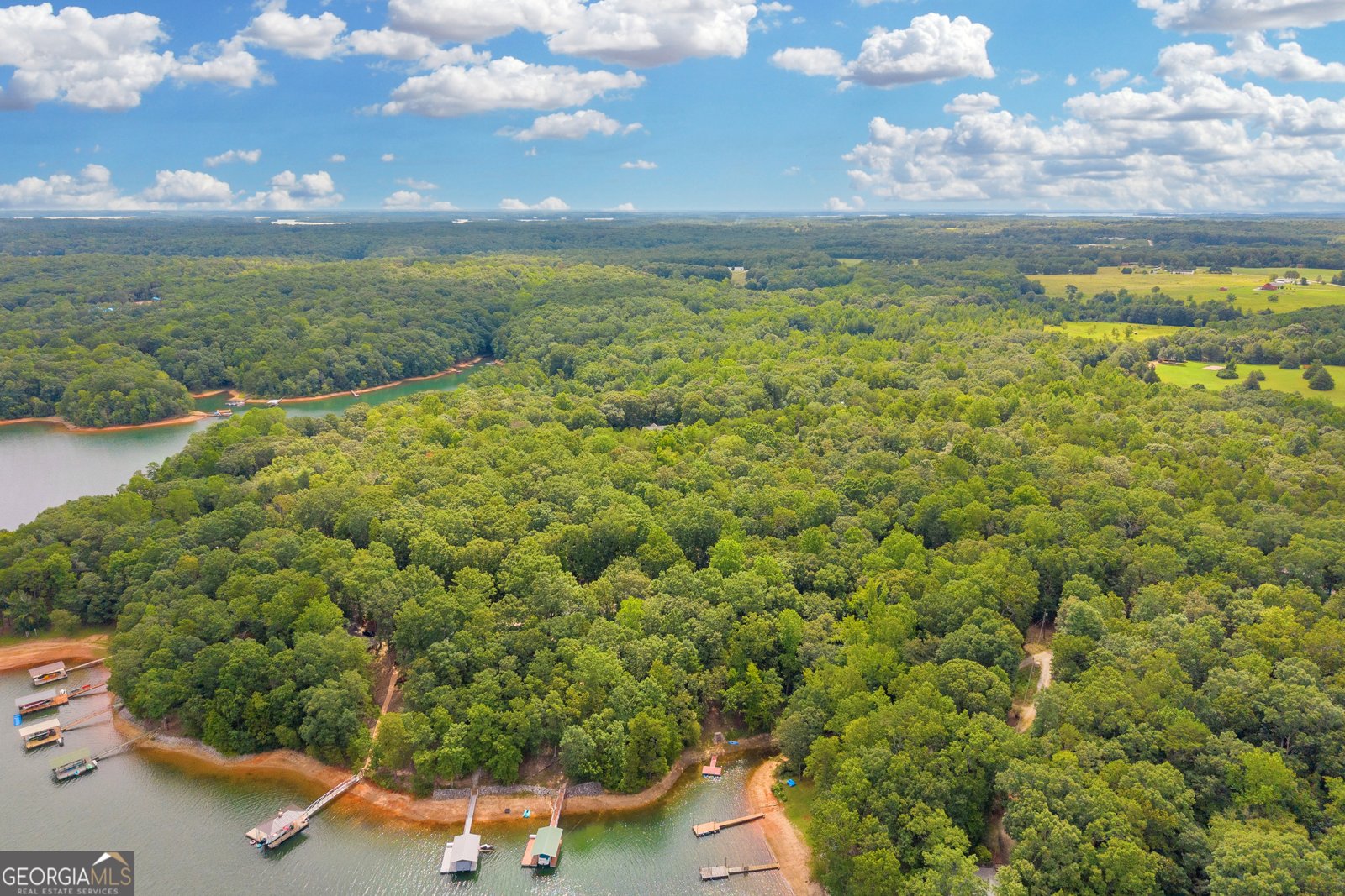 26 Chief Lane Hartwell - Photo 44