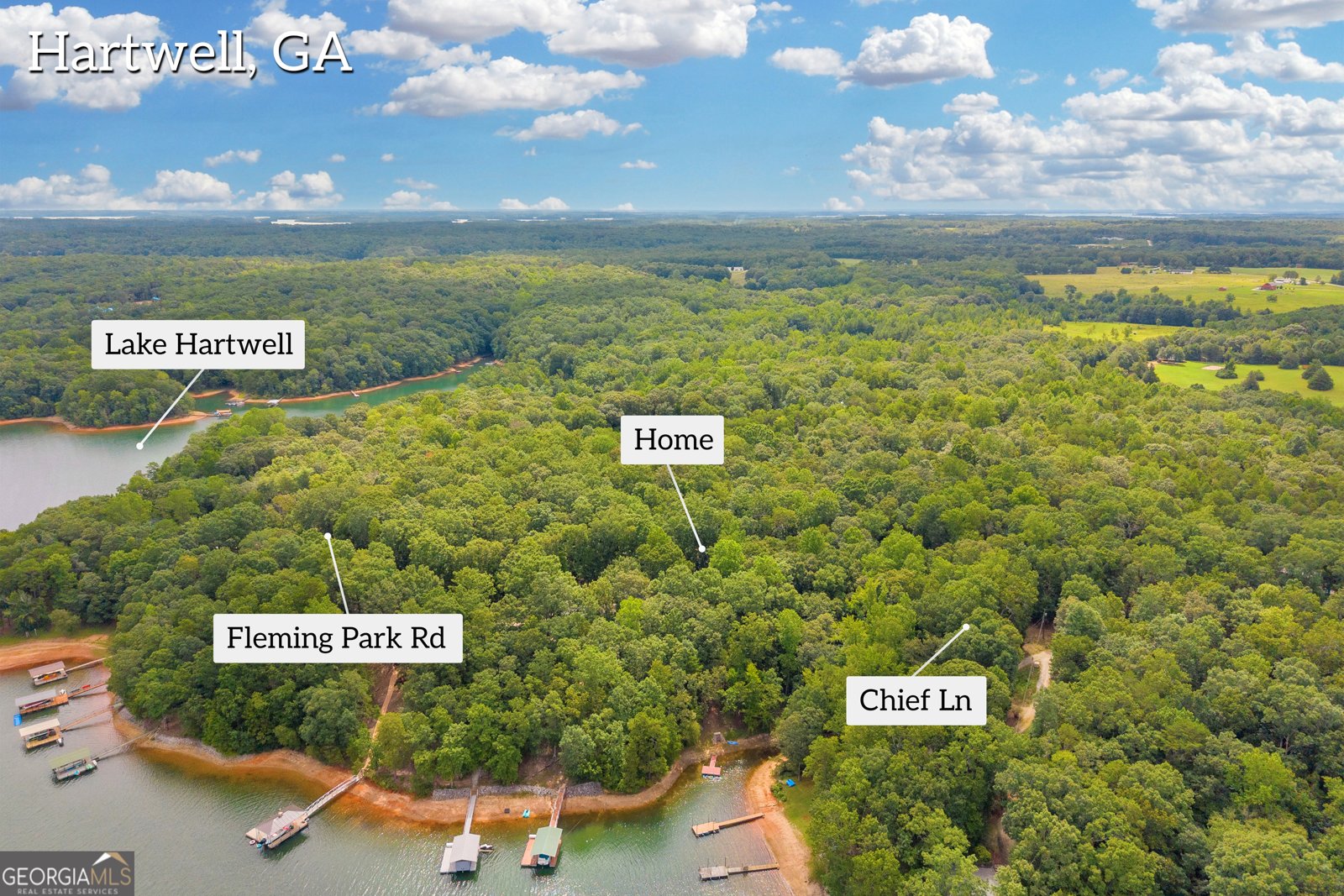 26 Chief Lane Hartwell - Photo 45