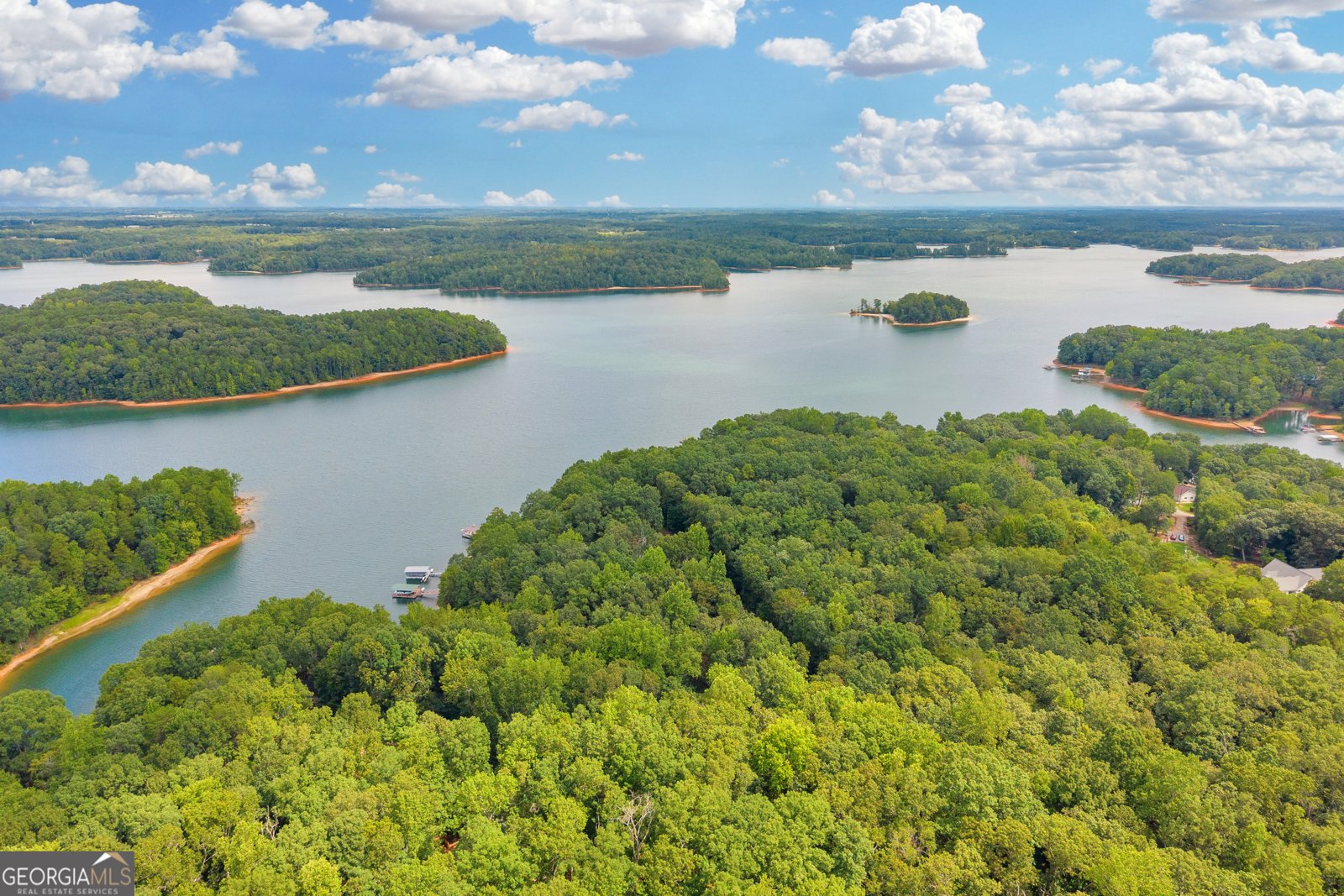26 Chief Lane Hartwell - Photo 47