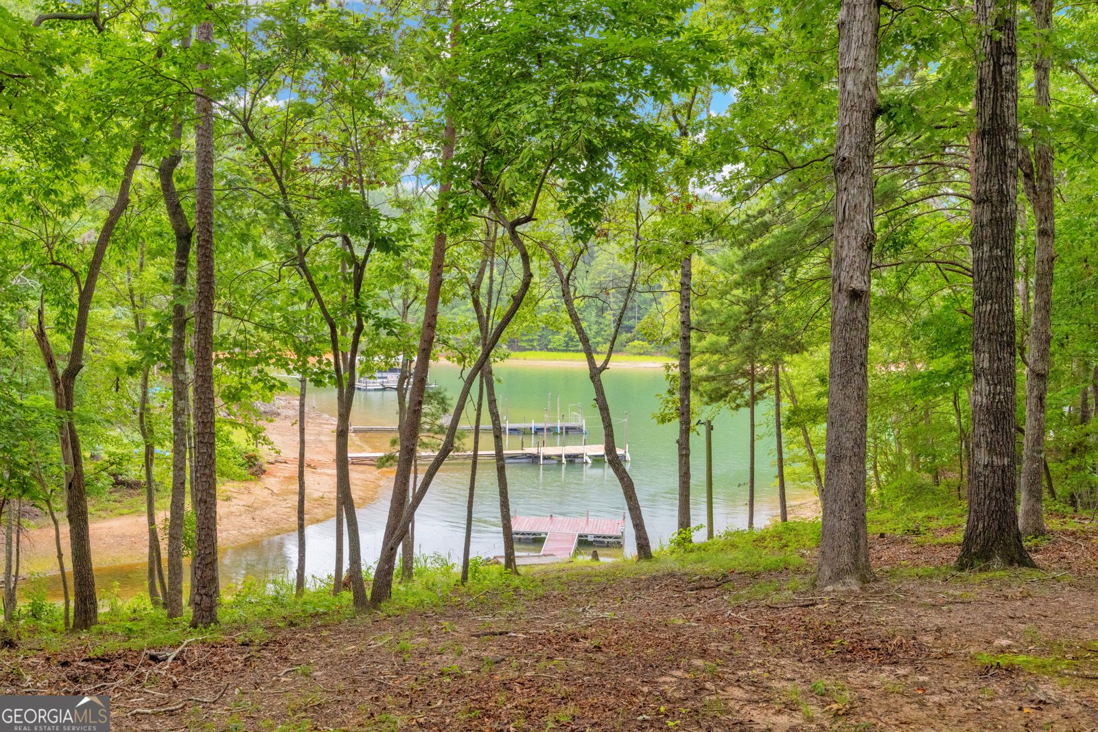 26 Chief Lane Hartwell - Photo 6