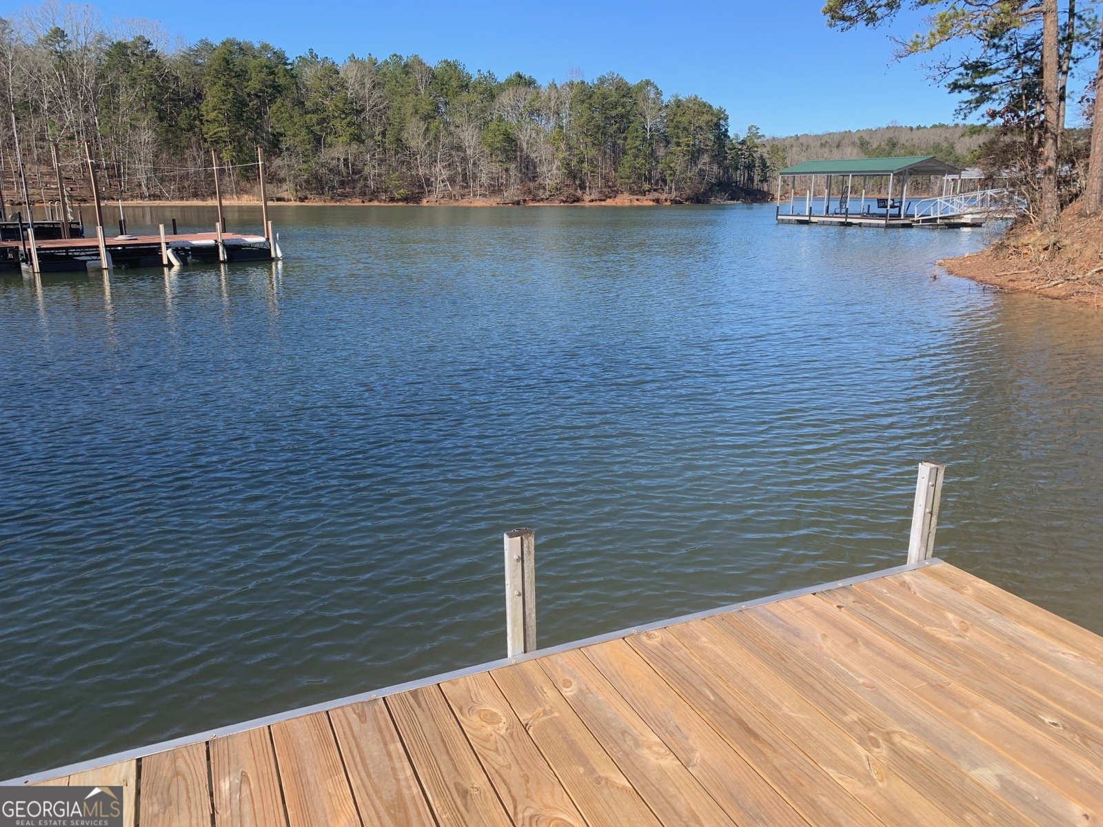 26 Chief Lane Hartwell - Photo 63