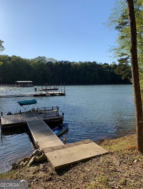 26 Chief Lane Hartwell - Photo 64