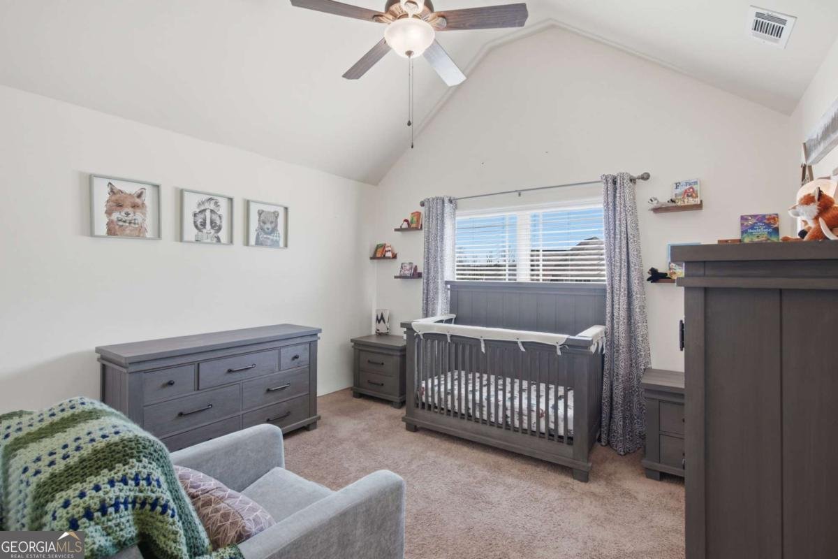 4130 Balsam Bark Drive Cumming - Photo 19