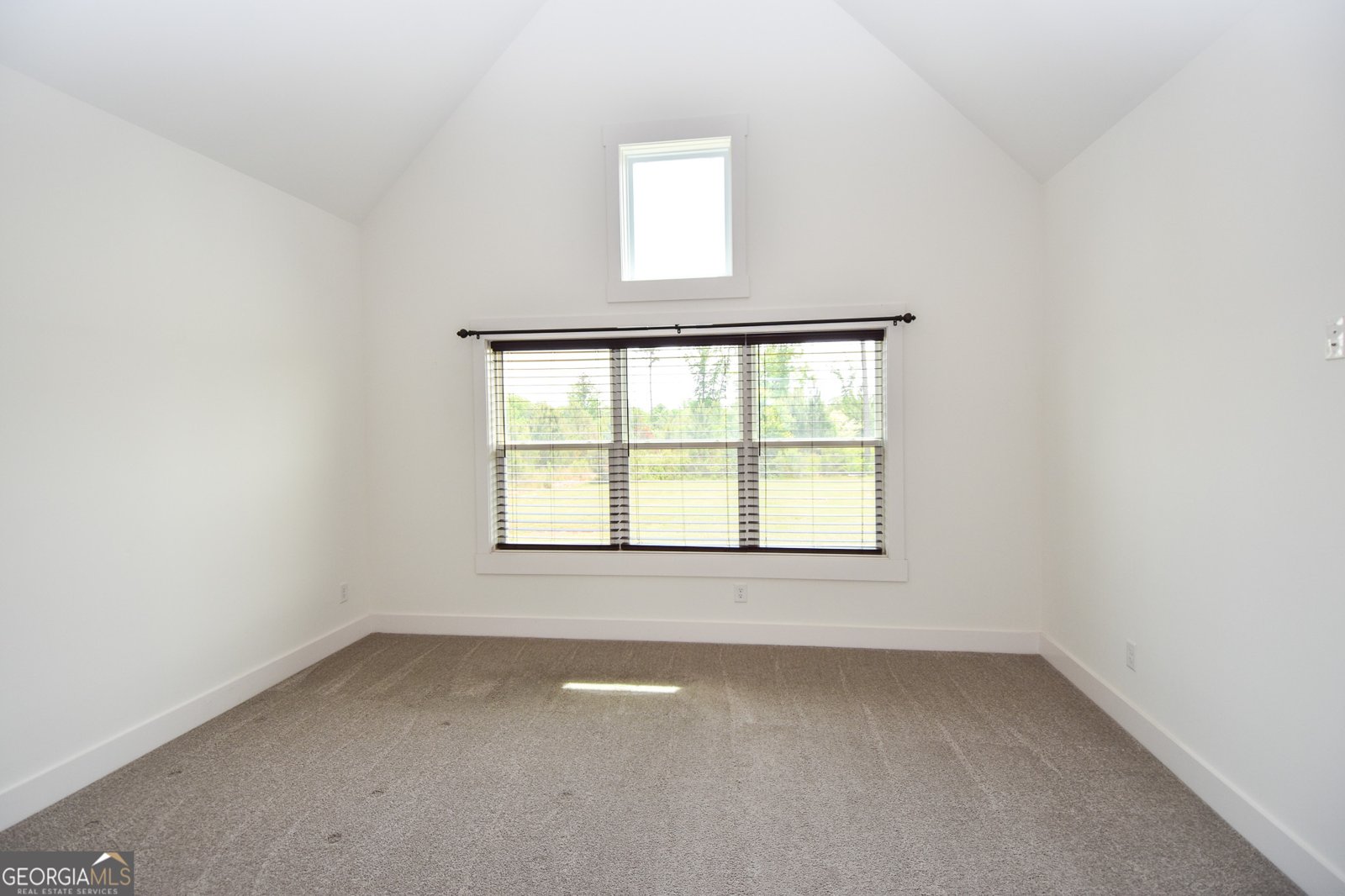 158 Conner Lane Williamson - Photo 53