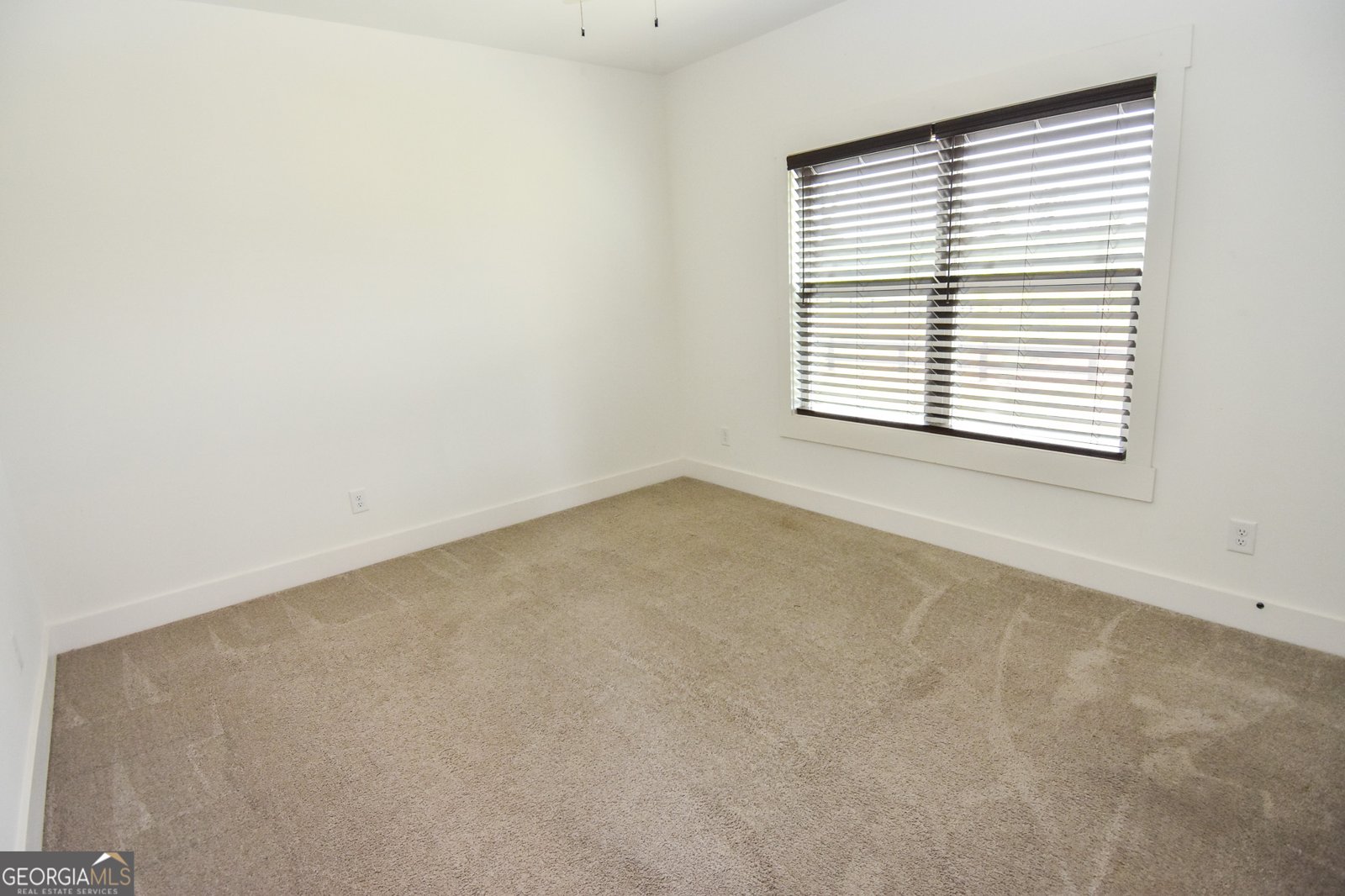 158 Conner Lane Williamson - Photo 79