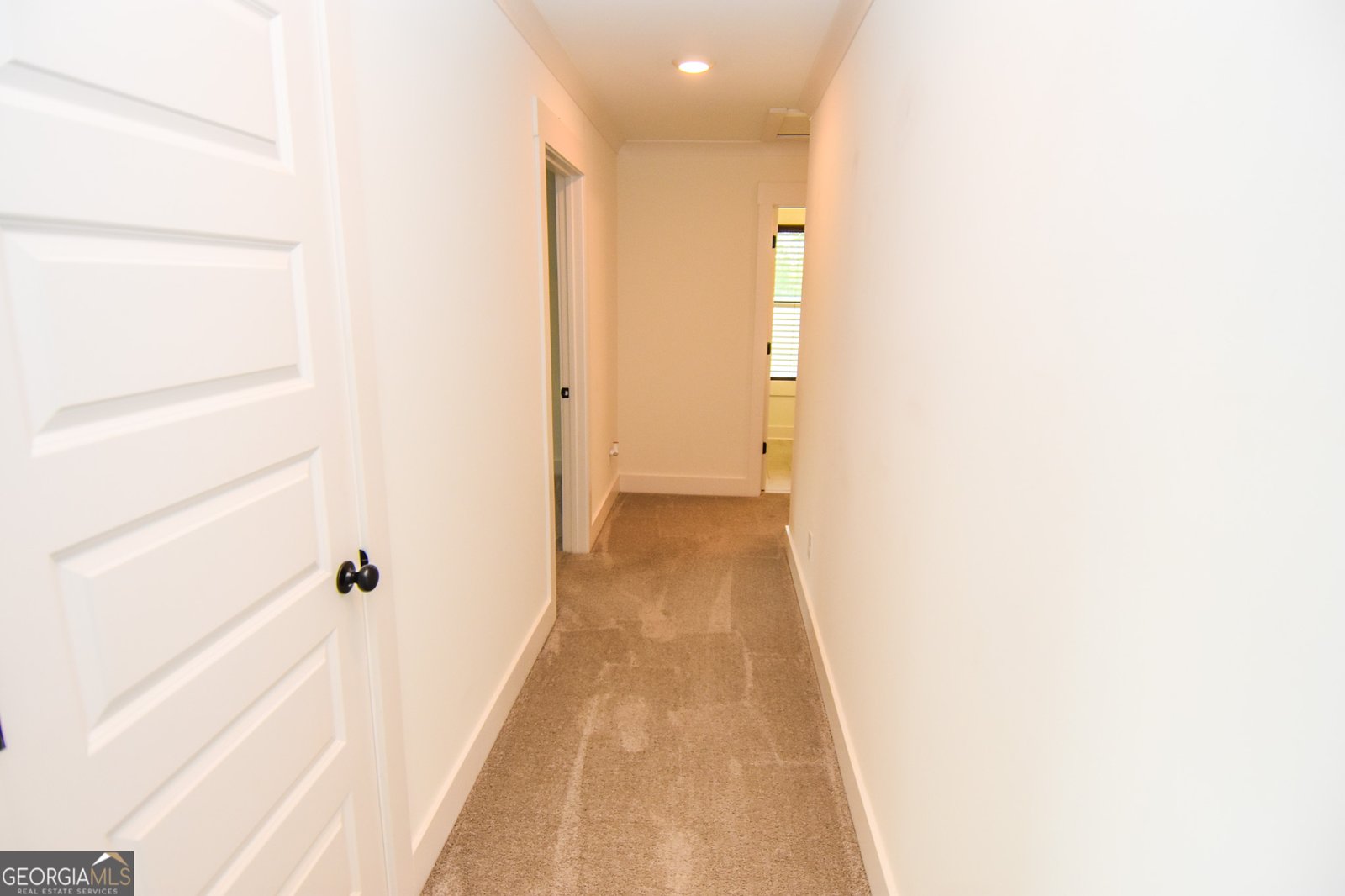 158 Conner Lane Williamson - Photo 85
