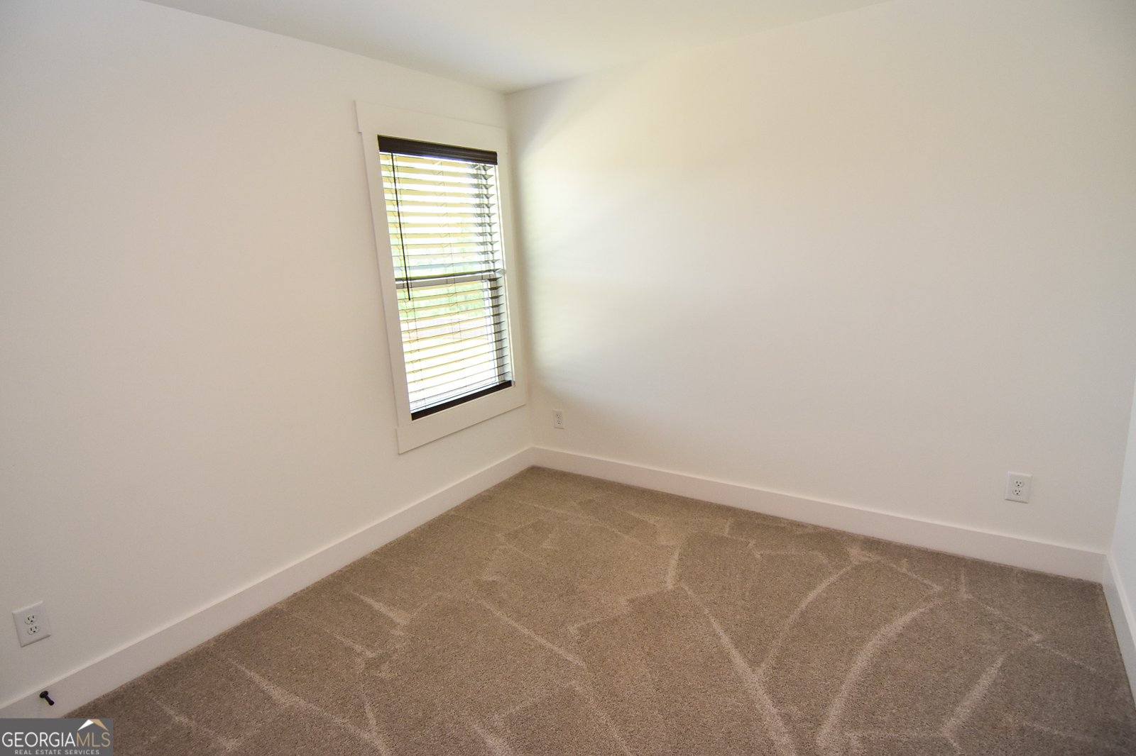 158 Conner Lane Williamson - Photo 91