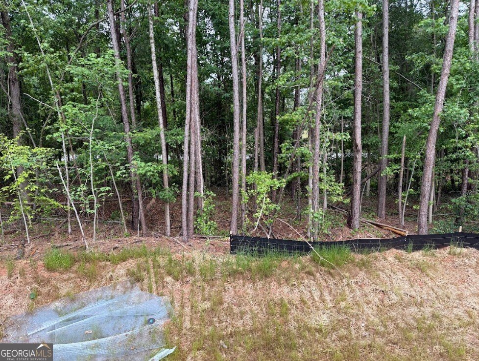 105 Carlan Road Commerce - Photo 10