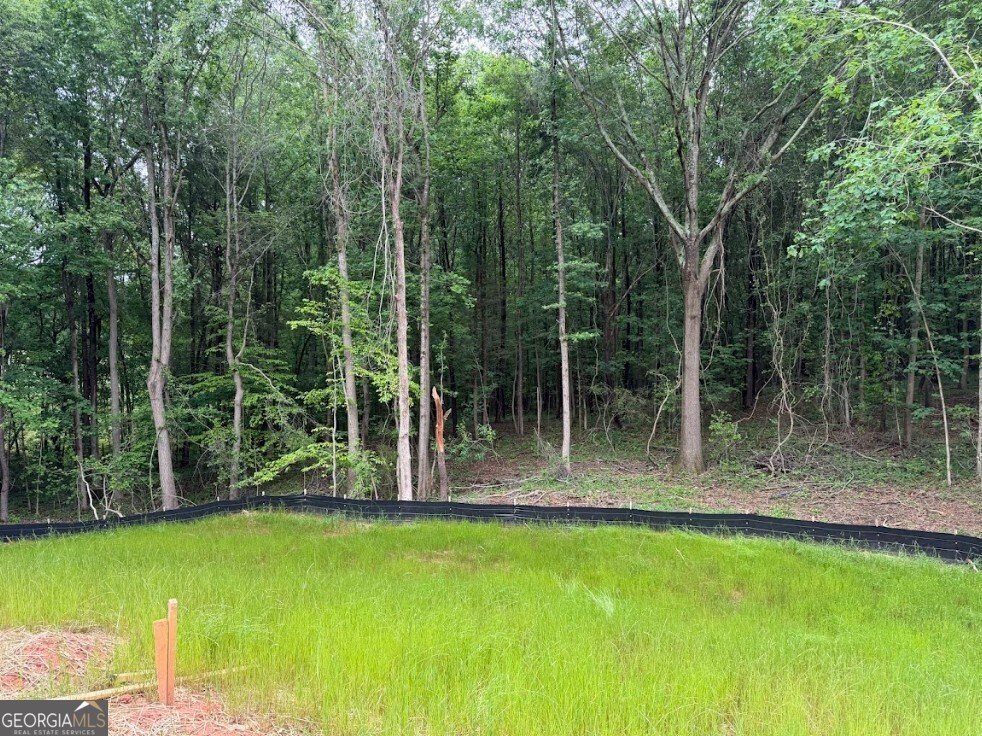 105 Carlan Road Commerce - Photo 11
