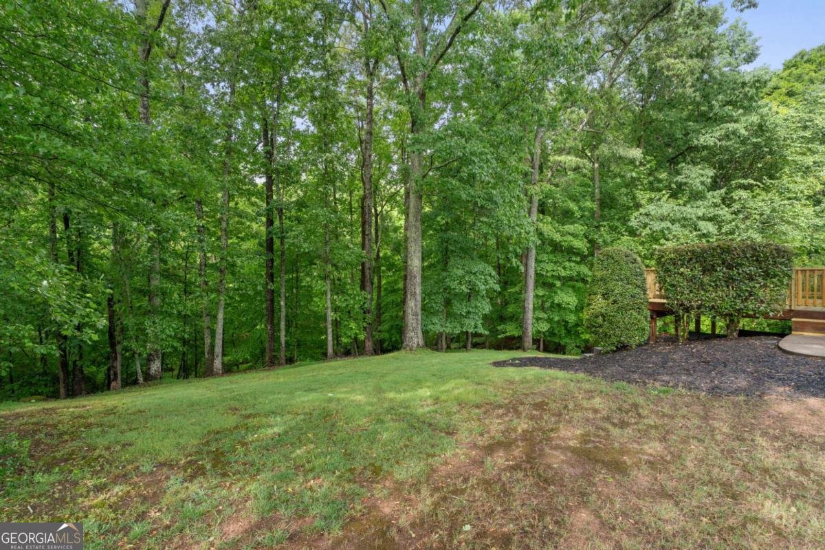 850 Riverhaven Drive Suwanee - Photo 61