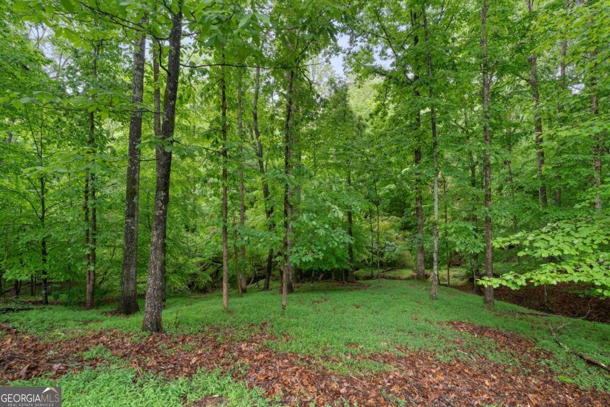 850 Riverhaven Drive Suwanee - Photo 62