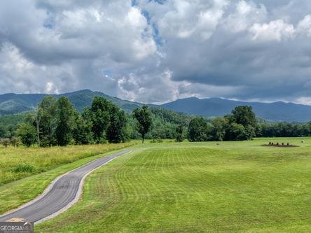 186 Rice Landing Court Hayesville - Photo 18