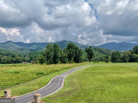 186 Rice Landing Court Hayesville - Photo 19