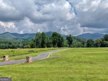 186 Rice Landing Court Hayesville - Photo 20